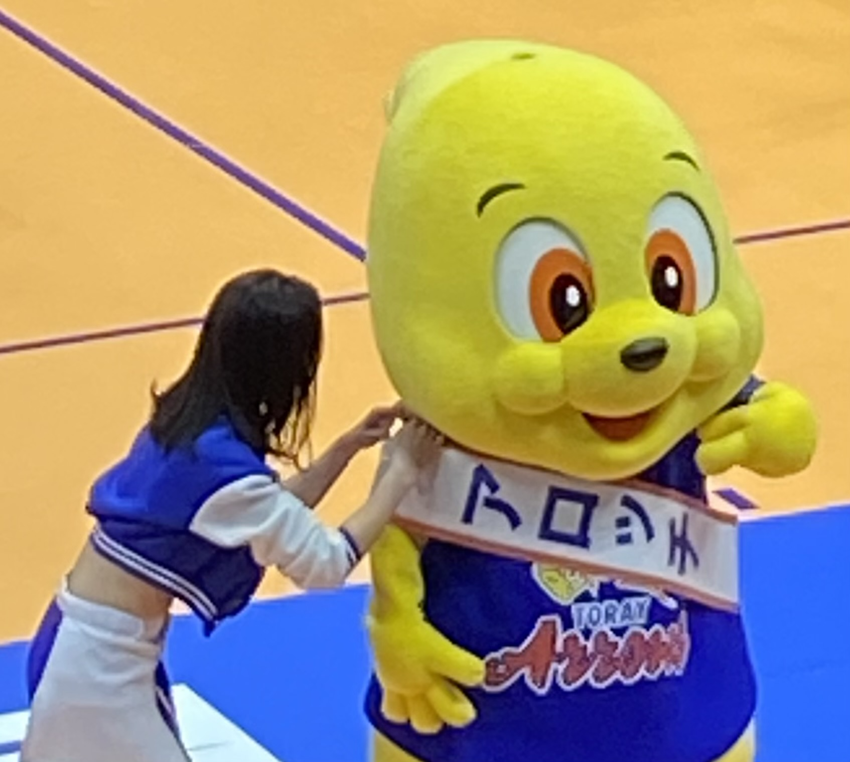 東レアローズ静岡様とスポンサー契約締結のお知らせ